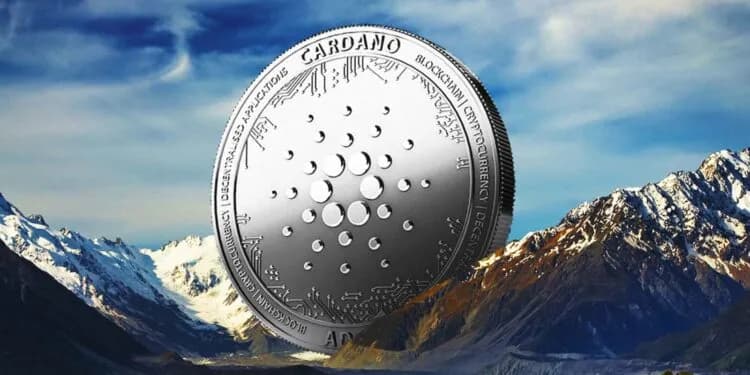 越跌越買!Cardano「巨鯨」默默掃貨,掌控 67% 流通量創近 4 年新高