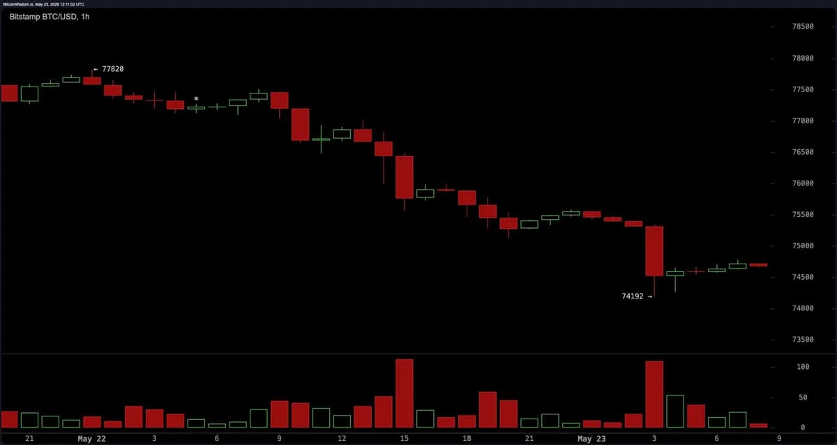 比特币价格分析:BTC 面临跌破 7.4 万美元的进一步回调风险