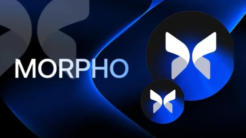 Paradigm 與 a16z 領投!Morpho 完成 1.75 億鎂戰略融資,估值衝上 20 億鎂直追 Aave