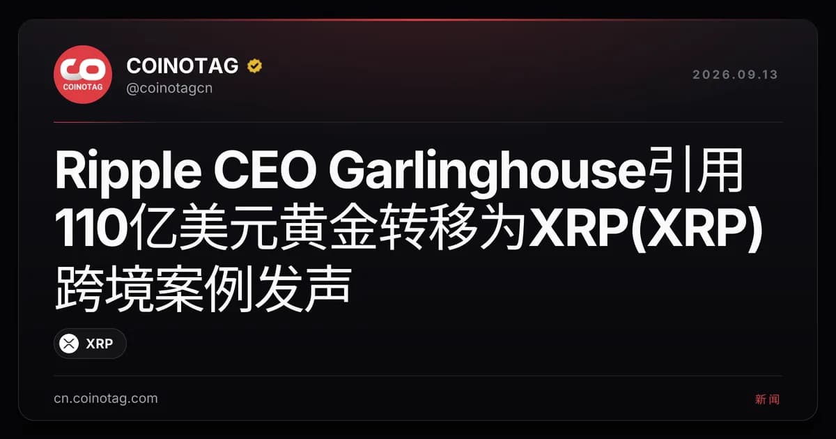 Ripple CEO Garlinghouse引用110亿美元黄金转移为XRP(XRP)跨境案例发声